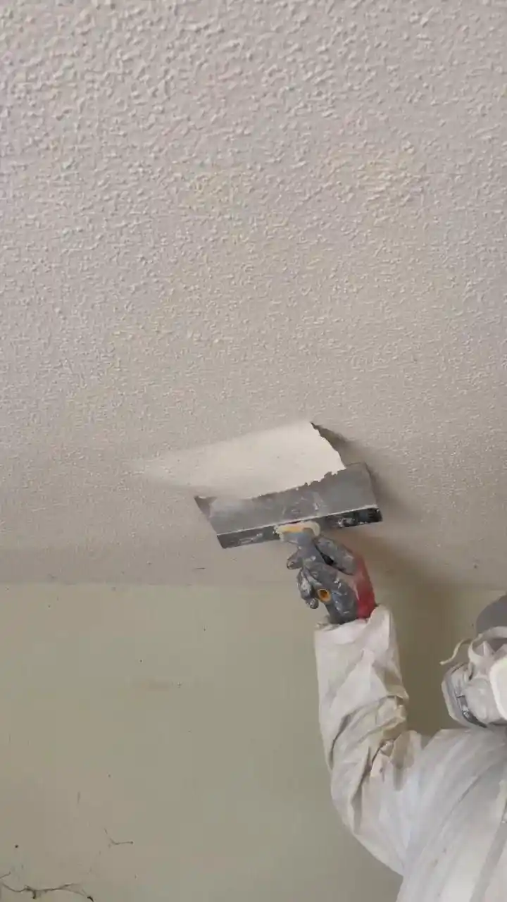 Popcorn Ceiling